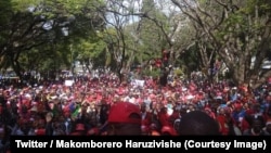 Des milliers de partisans de l'opposition zimbabwéenne manifestent pour exiger des élections "libres et justes" à Harare, le 5 juin 2018. (Twitter/Makomborero Haruzivishe)