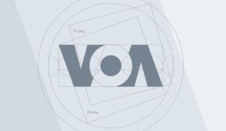 Rừng vàng ở Campuchia