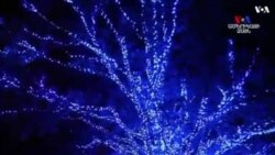 NO COMMENT: Կենդանաբանական այգիների բնակիչները նույնպես մասնակցում են տոնական խրախճանքին