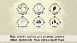 A História da Vacinação - sabia que vem do latim vacca?