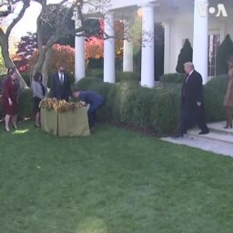 Tổng thống Trump ân xá gà Tây
