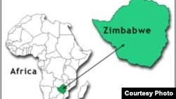 Nexşeya Zimbabwe