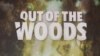Out of the Woods American Café October 3, 2017