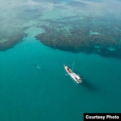 Kawasan terumbu karang di Taman Nasional Karimunjawa (Foto: Greenpeace Indonesia)