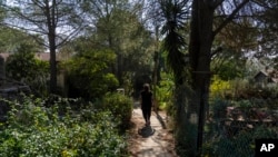 A woman walks in the tiny settlement of Trump Heights in the Israeli-controlled Golan Heights, where residents are welcoming the election of their namesake Nov. 7, 2024.