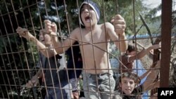 Урядові сили Сирії здійснили рейд на північне селище Бдама