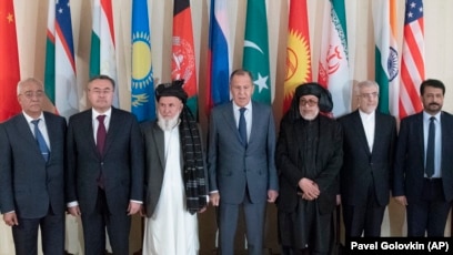 Rossiya mushugi bilan qoplangan jumi (katta kesilgan) Rossiya mushugi bilan qoplangan jumi (katta kesilgan)