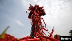 FILE - A man spreads red chilli peppers for drying at a farm in India, Feb. 5, 2018. Over the last five years, more than 100 farmers in the region of Kajiado County in Kenya have begun growing chili.