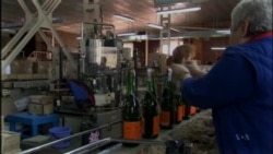 Crimean Winery Hopes to Benefit From Russian Annexation