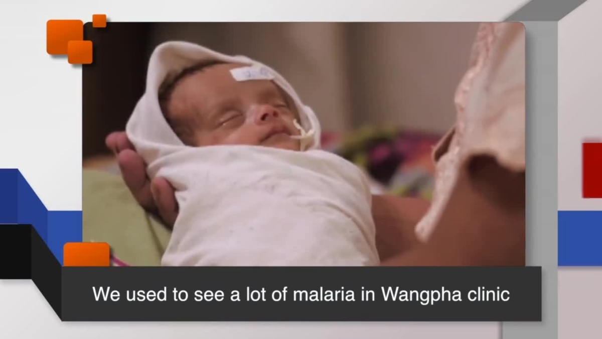 news-words-malaria