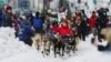 Snowmobile Rider Strikes Teams in Iditarod Sled Dog Race 