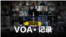2020 VOA·记录
