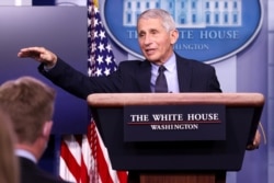 National Institute of Allergy and Infectious Diseases Director Anthony Fauci addresses the daily press briefing at the White House in Washington, Jan.21, 2021.