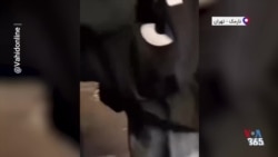 شعار «خامنه‌ای قاتل، زهی خیال باطل» در اعتراضات نارمک تهران
