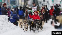 Four-time champion Jeff King and his team leave the ceremonial start of the Iditarod Trail Sled Dog Race in Anchorage, Alaska, March 5, 2016. King's team was one of two struck Saturday by a snowmobile rider.