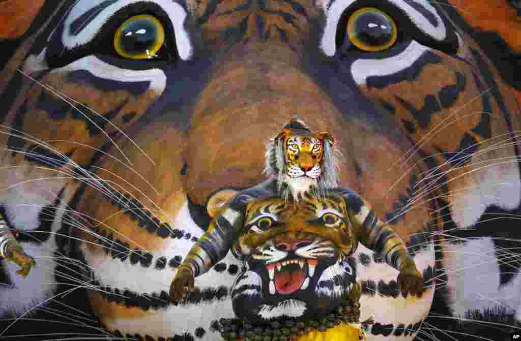 An Indian artist with his body painted with the likeness of a tiger dances before a tableau with a picture of tiger during the 'Pulikali' or Tiger Dance procession in Thrissur, Kerala state, India.