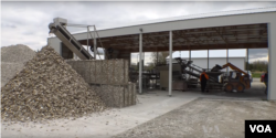 Recycled Oysters drying, which allows living tissue to die off.