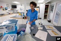 FILE - Sarah Egner, director of curriculum development at Marinelab in Key Largo, Florida, filters out a water sample to check for the presence of microscopic plastics in the water, Feb. 7, 2017.