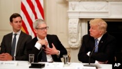 پرزیدنت ترامپ در حاشیه یکی از جلسات کاخ سفید با مدیرعامل اپل. 