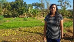 Yunita Baitanu, penyandang disabilitas fisik warga kelurahan Penkase-Oeleta, Kecamatan Alak, kota kupang, Nusa Tenggara Timur. Selasa (20/4/2021) (Foto: GARAMIN NTT)