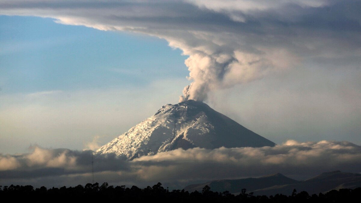 Some Volcanic Clays Kill Bacteria