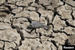 인도 라자스탄주 아지메르 외곽의 호수가 가뭄으로 인해 바짝 말랐다.