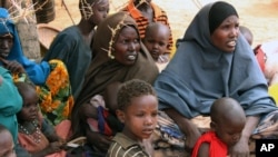 Kaum perempuan Somalia dan anak-anak mereka duduk di bawah pohon di kamp pengungsi di Dolo, Somalia, menunggu jatah makanan mereka (foto: dok).