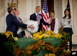 President Barack Obama, with daughters Malia, far right, and Sasha, carries on the Thanksgiving tradition of saving a turkey from the dinner table by "pardoning" a bird named Cheese' in the Grand Foyer of the White House, Nov. 26, 2014.
