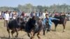 Buffalo owners try to control their buffalos during a traditional buffalo fight held as part of Bhogali Bihu festival at Boidyabori village, some 80 km from Guwahati.