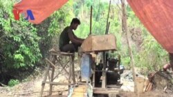 Promise of Riches Lures Many to ‘Forest of Gold’ (Cambodia news in Khmer)