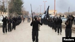 Fighters linked to al-Qaida carry their weapons during a parade at the Syrian town of Tel Abyad, near the border with Turkey, Jan. 2, 2014. 