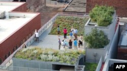 全美景观设计师协会总部的“绿色屋顶”