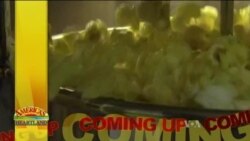 Buenos Días América 