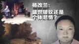 时事大家谈: 杨改兰：盛世蝼蚁还是个体悲情？