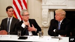 Tim Cook, Chief Executive Officer of Apple, speaks as President Donald Trump, right, and Jared Kushner, White House Senior Adviser, left, listen during an American Technology Council roundtable in the State Dinning Room of the White House, June 19, 2017.