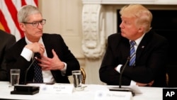 Tim Cook, Chief Executive Officer of Apple, speaks as President Donald Trump, right, and Jared Kushner, White House Senior Adviser, left, listen during an American Technology Council roundtable in the State Dinning Room of the White House, June 19, 2017.