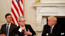 Tim Cook, CEO Apple, berbicara dengan Presiden Donald Trump (kanan), dan Jared Kushner, Penasihat Senior Gedung Putih (kiri), saat pertemuan di Gedung Putih, 19 Juni 2017.