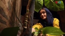 د چاپېریال په امریکايي غونډه کې فاطمه فراز هوتي د خپلې سیمې نمایندګي وګړه