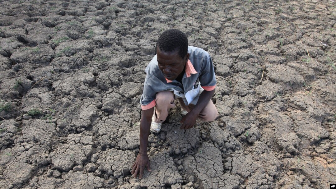 FILE - In this file photo taken Sunday Jan. 29, 2016, Last Zimaniwa feels the broken ground at a spot which is usually a reliable water source that has dried up due to lack of rains in the village of Chivi , Zimbabwe.