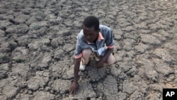 FILE - In this file photo taken Sunday Jan. 29, 2016, Last Zimaniwa feels the broken ground at a spot which is usually a reliable water source that has dried up due to lack of rains in the village of Chivi , Zimbabwe.