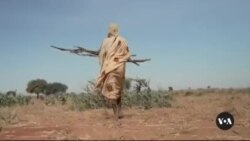 Darfuri women face sexual violence in war, refuge

