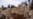 Hundreds of South African illegal miners, police continue standoff