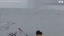 ریسکیو ٹیم نے برف میں پھنسے ہرن کو بچا لیا