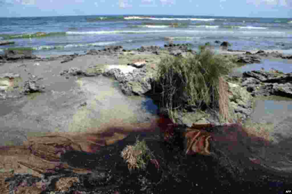 Oil is seen on the beach at Elmers Island, Louisiana, 21 May 2010. (AFP Image)