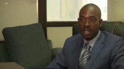 Mutungamiri weMDC Alliance VaNelson Chamisa Votaura Nezve Sarudzo