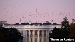Una bandada de pájaros sobrevuela la Casa Blanca el pasado sábado, al atardecer, después de que se conociera que los escrutinios proyectan que Joe Biden será el presidente electo de Estados Unidos.