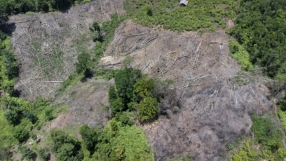 Deforestation, Severe Weather Worsen Disasters in Indonesia