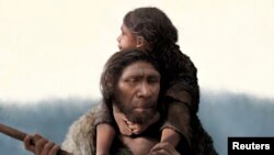 A reconstruction of a Neanderthal father and his daughter is seen in this undated handout image