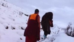 དྲ་བརྙན་གསར་འགྱུར། ༢༠༡༤ ཟླ་ ༡ ཚེས་༢༣