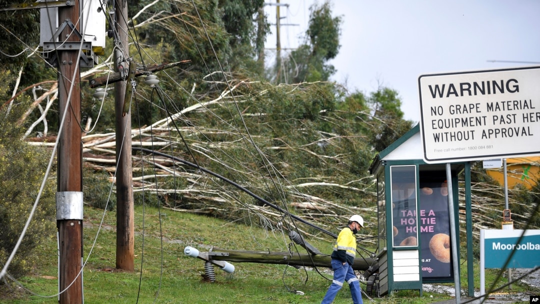 Tiang listrik dan pohon tumbang akibat angin kencang di kawasan Lilydale, Melbourne, Australia, Kamis, 10 Juni 2021. (James Ross/AAP Image via AP)
